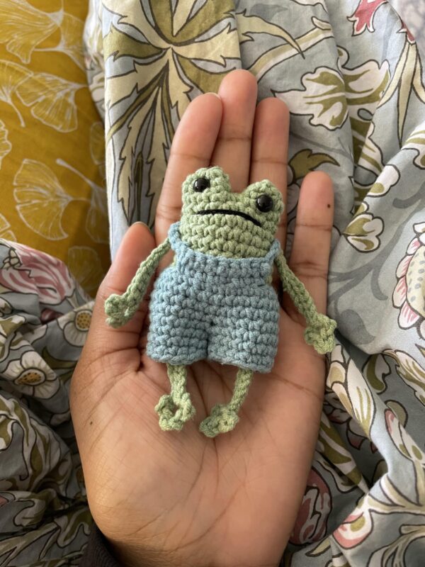 Frog with pants