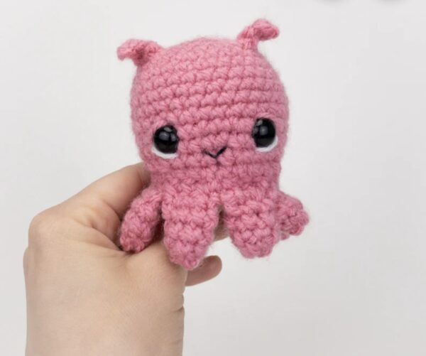 Squid
